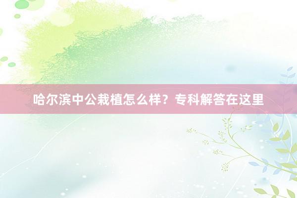 哈尔滨中公栽植怎么样？专科解答在这里