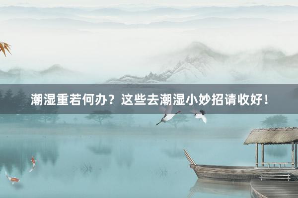 潮湿重若何办？这些去潮湿小妙招请收好！